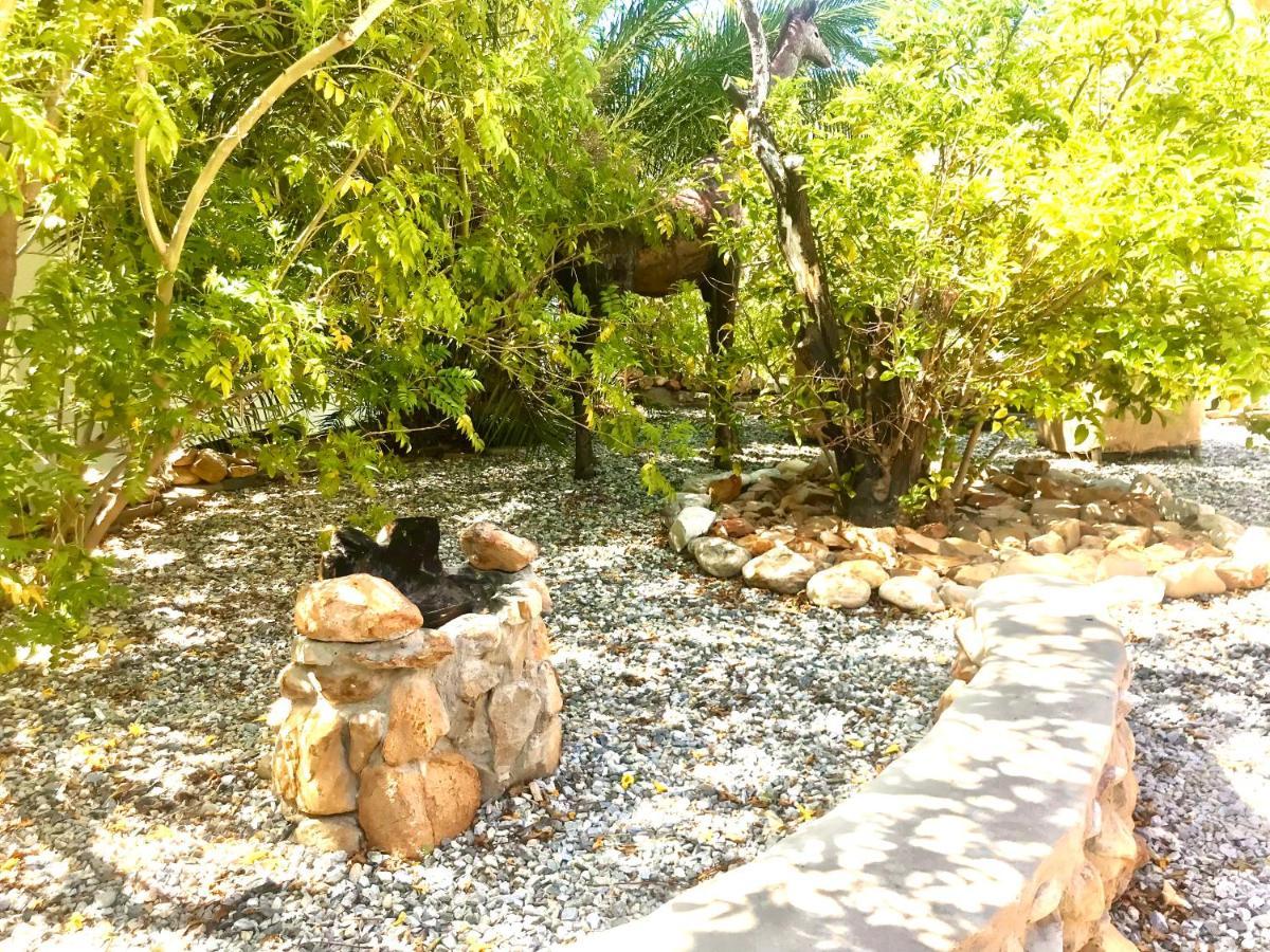 Mountain View Eco Lodge מונטאגו מראה חיצוני תמונה