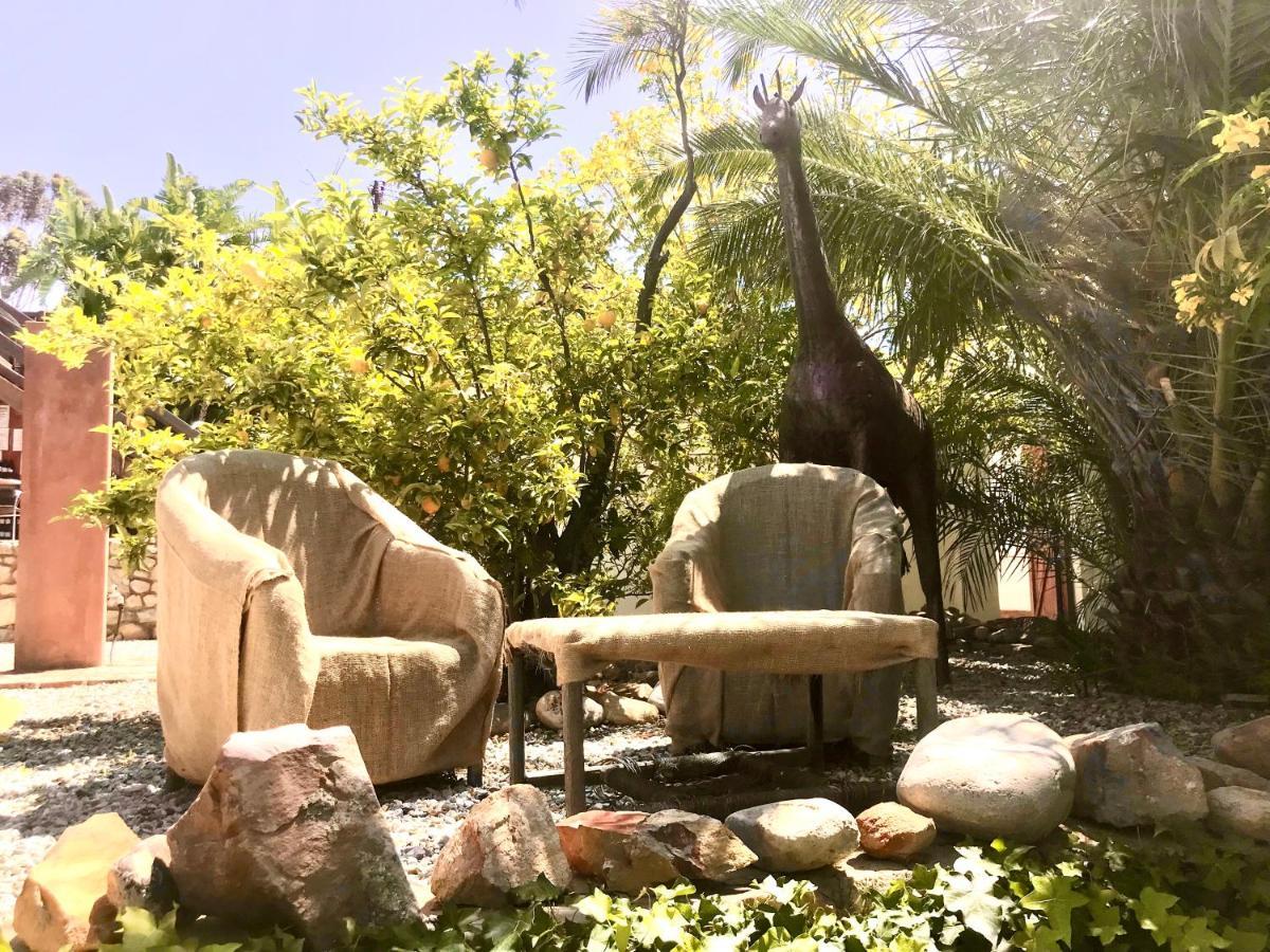 Mountain View Eco Lodge מונטאגו מראה חיצוני תמונה