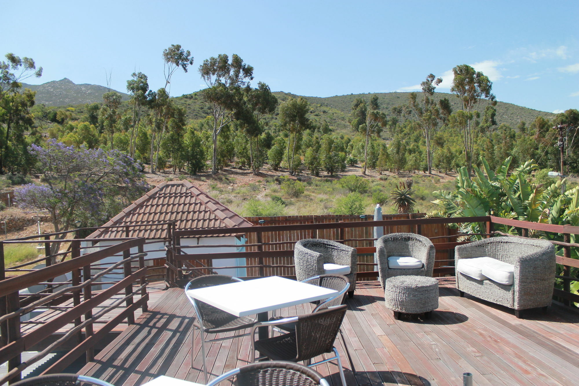 Mountain View Eco Lodge מונטאגו מראה חיצוני תמונה